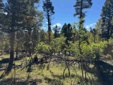 Lovely lot on a quiet street. Enjoy the peaceful atmosphere on on Angel Fire Resort Country Club in New Mexico - for sale on GolfHomes.com, golf home, golf lot