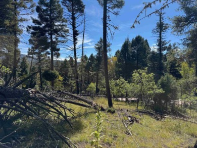 Lovely lot on a quiet street. Enjoy the peaceful atmosphere on on Angel Fire Resort Country Club in New Mexico - for sale on GolfHomes.com, golf home, golf lot