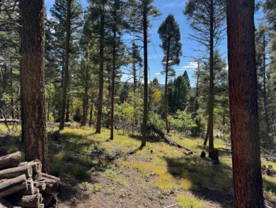 Lovely lot on a quiet street. Enjoy the peaceful atmosphere on on Angel Fire Resort Country Club in New Mexico - for sale on GolfHomes.com, golf home, golf lot