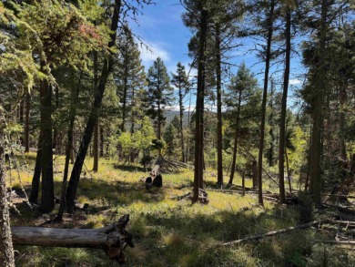 Lovely lot on a quiet street. Enjoy the peaceful atmosphere on on Angel Fire Resort Country Club in New Mexico - for sale on GolfHomes.com, golf home, golf lot