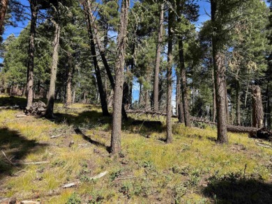 Lovely lot on a quiet street. Enjoy the peaceful atmosphere on on Angel Fire Resort Country Club in New Mexico - for sale on GolfHomes.com, golf home, golf lot