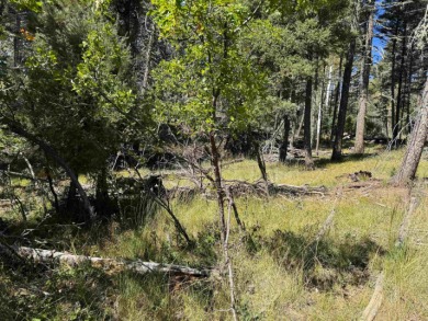 Lovely lot on a quiet street. Enjoy the peaceful atmosphere on on Angel Fire Resort Country Club in New Mexico - for sale on GolfHomes.com, golf home, golf lot