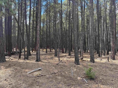 This flat lot on a quiet cul-de-sac that has easy access to Deer on Angel Fire Resort Country Club in New Mexico - for sale on GolfHomes.com, golf home, golf lot