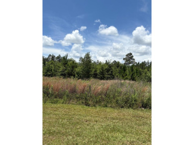 Wooded 1.2-Acre Residential Lot in Peaceful Arrowhead Estates - on Donalsonville Country Club in Georgia - for sale on GolfHomes.com, golf home, golf lot