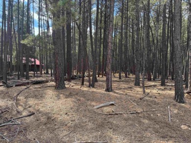 This flat lot on a quiet cul-de-sac that has easy access to Deer on Angel Fire Resort Country Club in New Mexico - for sale on GolfHomes.com, golf home, golf lot