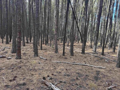This flat lot on a quiet cul-de-sac that has easy access to Deer on Angel Fire Resort Country Club in New Mexico - for sale on GolfHomes.com, golf home, golf lot