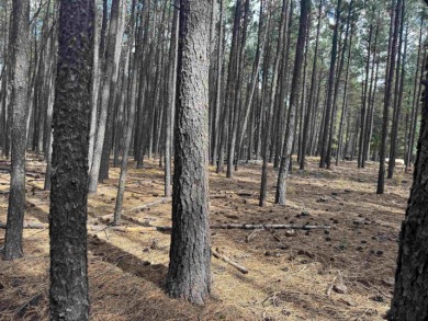 This flat lot on a quiet cul-de-sac that has easy access to Deer on Angel Fire Resort Country Club in New Mexico - for sale on GolfHomes.com, golf home, golf lot