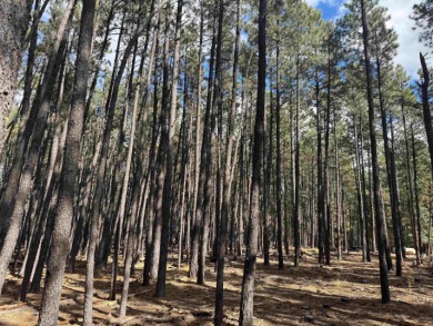 This flat lot on a quiet cul-de-sac that has easy access to Deer on Angel Fire Resort Country Club in New Mexico - for sale on GolfHomes.com, golf home, golf lot
