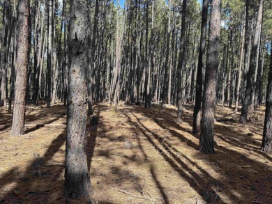 This flat lot on a quiet cul-de-sac that has easy access to Deer on Angel Fire Resort Country Club in New Mexico - for sale on GolfHomes.com, golf home, golf lot