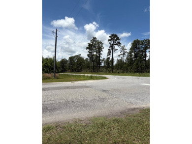 Wooded 1.2-Acre Residential Lot in Peaceful Arrowhead Estates - on Donalsonville Country Club in Georgia - for sale on GolfHomes.com, golf home, golf lot