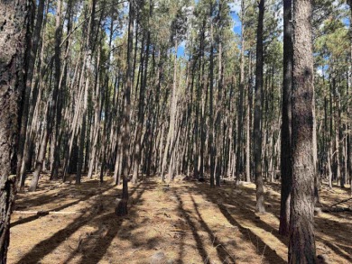 This flat lot on a quiet cul-de-sac that has easy access to Deer on Angel Fire Resort Country Club in New Mexico - for sale on GolfHomes.com, golf home, golf lot