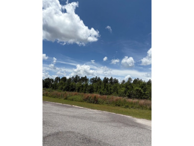 Wooded 1.2-Acre Residential Lot in Peaceful Arrowhead Estates - on Donalsonville Country Club in Georgia - for sale on GolfHomes.com, golf home, golf lot