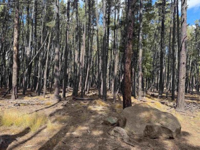 This flat lot on a quiet cul-de-sac that has easy access to Deer on Angel Fire Resort Country Club in New Mexico - for sale on GolfHomes.com, golf home, golf lot