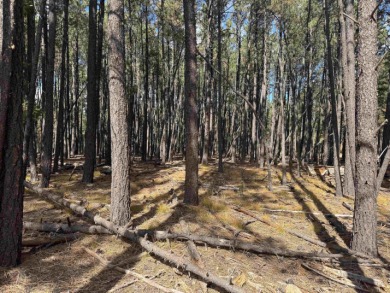 This flat lot on a quiet cul-de-sac that has easy access to Deer on Angel Fire Resort Country Club in New Mexico - for sale on GolfHomes.com, golf home, golf lot