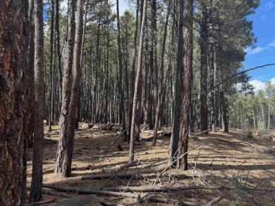 This flat lot on a quiet cul-de-sac that has easy access to Deer on Angel Fire Resort Country Club in New Mexico - for sale on GolfHomes.com, golf home, golf lot