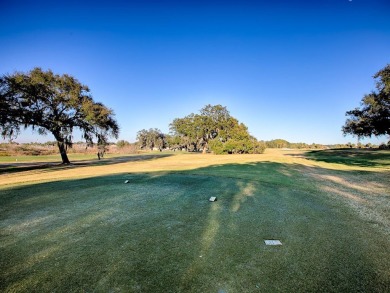 BOND PAID and BRAND NEW ROOF (DEC. 2024) on this SPECTACULAR on The Links of Spruce Creek in Florida - for sale on GolfHomes.com, golf home, golf lot