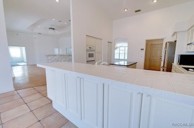 Experience luxury living in Terra Vista, featuring world-class on Skyview At Terra Vista Golf and Country Club in Florida - for sale on GolfHomes.com, golf home, golf lot