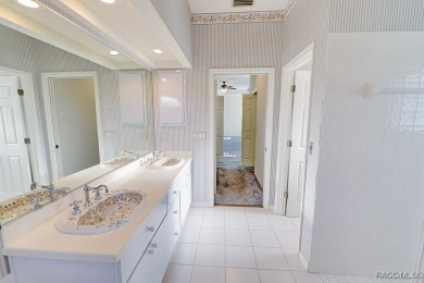 Experience luxury living in Terra Vista, featuring world-class on Skyview At Terra Vista Golf and Country Club in Florida - for sale on GolfHomes.com, golf home, golf lot