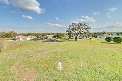 Experience luxury living in Terra Vista, featuring world-class on Skyview At Terra Vista Golf and Country Club in Florida - for sale on GolfHomes.com, golf home, golf lot