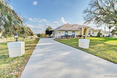 Experience luxury living in Terra Vista, featuring world-class on Skyview At Terra Vista Golf and Country Club in Florida - for sale on GolfHomes.com, golf home, golf lot