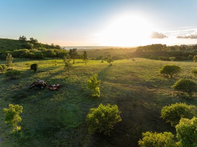 Welcome to Mapuana Ranch, a breathtaking 30-acre property on Kukuiolono Golf Club in Hawaii - for sale on GolfHomes.com, golf home, golf lot