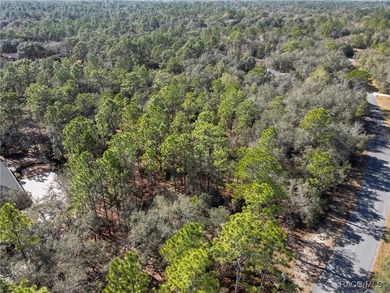 Beautiful 1.01-acre lot located in Citrus Hills, Fairview on Twisted Oaks Golf Club in Florida - for sale on GolfHomes.com, golf home, golf lot