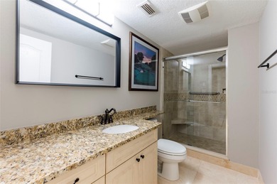 Beautiful updated 2/2 unit in Innisbrook Report, own it as on Innisbrook Resort and Golf Club in Florida - for sale on GolfHomes.com, golf home, golf lot