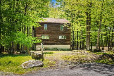 Welcome to 10 Sandy Ct, Lake Ariel, PA -- a peaceful and private on The Hideout Golf in Pennsylvania - for sale on GolfHomes.com, golf home, golf lot