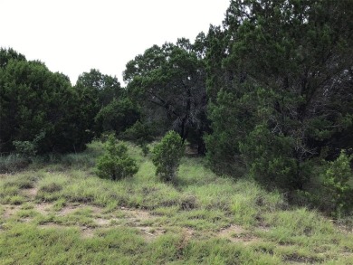 Sought after quarter acre lot with a gated community. Enjoy on White Bluff Resort - New Course in Texas - for sale on GolfHomes.com, golf home, golf lot