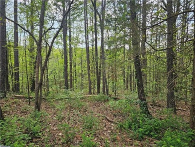 Extremely close to the Tunnel Vision, Long Shadow, and on Bella Vista Country Club - Kingswood in Arkansas - for sale on GolfHomes.com, golf home, golf lot