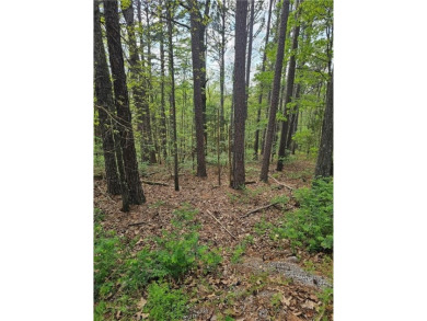 Extremely close to the Tunnel Vision, Long Shadow, and on Bella Vista Country Club - Kingswood in Arkansas - for sale on GolfHomes.com, golf home, golf lot