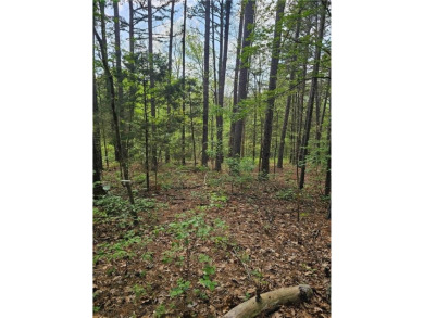 Extremely close to the Tunnel Vision, Long Shadow, and on Bella Vista Country Club - Kingswood in Arkansas - for sale on GolfHomes.com, golf home, golf lot