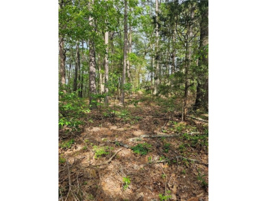 Extremely close to the Tunnel Vision, Long Shadow, and on Bella Vista Country Club - Kingswood in Arkansas - for sale on GolfHomes.com, golf home, golf lot
