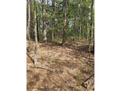 Extremely close to the Tunnel Vision, Long Shadow, and on Bella Vista Country Club - Kingswood in Arkansas - for sale on GolfHomes.com, golf home, golf lot