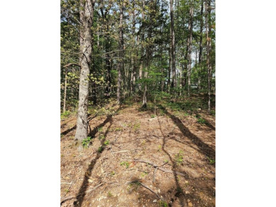 Extremely close to the Tunnel Vision, Long Shadow, and on Bella Vista Country Club - Kingswood in Arkansas - for sale on GolfHomes.com, golf home, golf lot