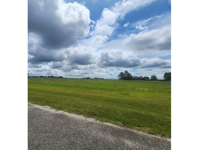 Welcome to your future oasis on the green! Nestled within the on Crooked Oak Golf Club in Georgia - for sale on GolfHomes.com, golf home, golf lot