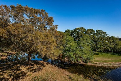 Discover the Epitome of luxury living in this exquisite on On Top Of The World Golf Course in Florida - for sale on GolfHomes.com, golf home, golf lot