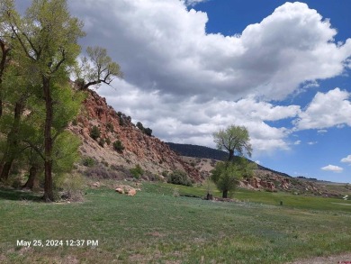 Yvonne Hoffman, Steffens and Company Realty, Inc, C: , hoffman on Rio Grande Golf Club in Colorado - for sale on GolfHomes.com, golf home, golf lot