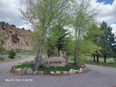 Yvonne Hoffman, Steffens and Company Realty, Inc, C: , hoffman on Rio Grande Golf Club in Colorado - for sale on GolfHomes.com, golf home, golf lot