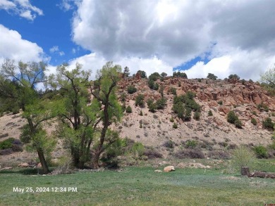 Yvonne Hoffman, Steffens and Company Realty, Inc, C: , hoffman on Rio Grande Golf Club in Colorado - for sale on GolfHomes.com, golf home, golf lot