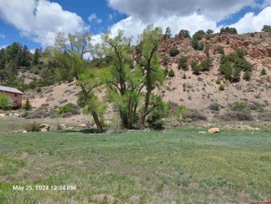 Yvonne Hoffman, Steffens and Company Realty, Inc, C: , hoffman on Rio Grande Golf Club in Colorado - for sale on GolfHomes.com, golf home, golf lot