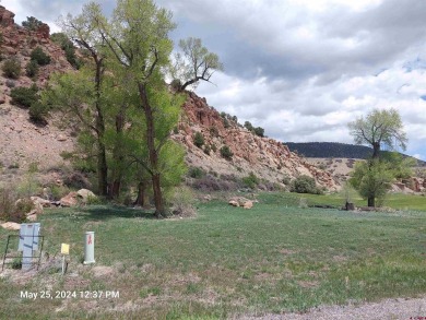 Yvonne Hoffman, Steffens and Company Realty, Inc, C: , hoffman on Rio Grande Golf Club in Colorado - for sale on GolfHomes.com, golf home, golf lot