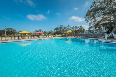 Discover the Epitome of luxury living in this exquisite on On Top Of The World Golf Course in Florida - for sale on GolfHomes.com, golf home, golf lot