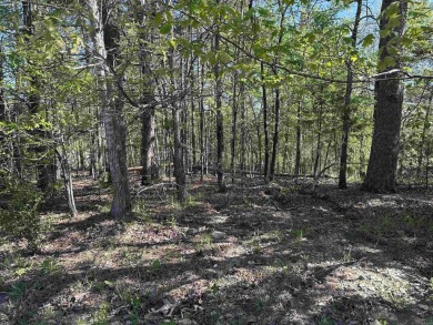 Isabella golf front lot overlooking Hole #4 on Pinta! Come build on Isabella Golf Course  in Arkansas - for sale on GolfHomes.com, golf home, golf lot