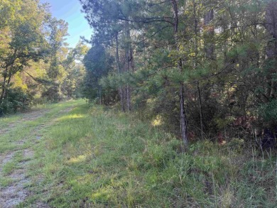 Premier  1/2  Acre Lot in Rayburn Country! Embrace the lifestyle on Rayburn Country Club in Texas - for sale on GolfHomes.com, golf home, golf lot