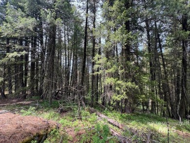 The Mountains are Calling..e explore this beautiful oasis of on Cascade Golf Course in Idaho - for sale on GolfHomes.com, golf home, golf lot