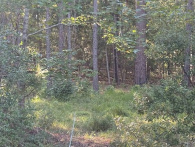 Premier  1/2  Acre Lot in Rayburn Country! Embrace the lifestyle on Rayburn Country Club in Texas - for sale on GolfHomes.com, golf home, golf lot