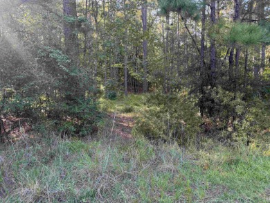 Premier  1/2  Acre Lot in Rayburn Country! Embrace the lifestyle on Rayburn Country Club in Texas - for sale on GolfHomes.com, golf home, golf lot