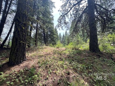 The Mountains are Calling..e explore this beautiful oasis of on Cascade Golf Course in Idaho - for sale on GolfHomes.com, golf home, golf lot