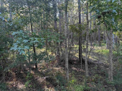 Premier  1/2  Acre Lot in Rayburn Country! Embrace the lifestyle on Rayburn Country Club in Texas - for sale on GolfHomes.com, golf home, golf lot